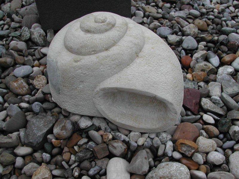 Donau Kalkstein Schnecke
